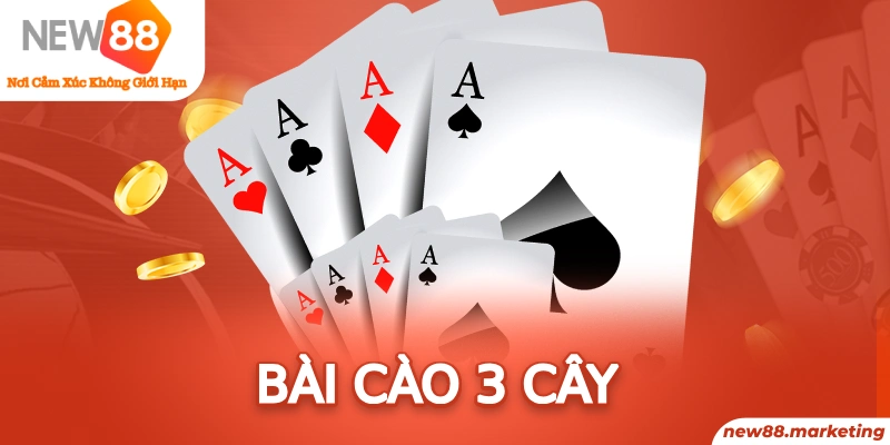 vty05 long bảo trong baccarat là gì