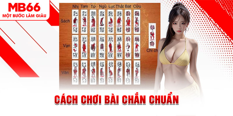 vty05 gà chọi cậu thanh