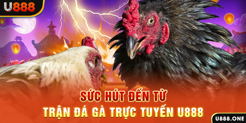 vty05 đá gà trực tiếp c1