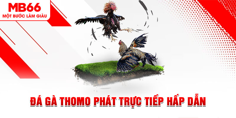 vty05 dự đoán xổ số miền trung