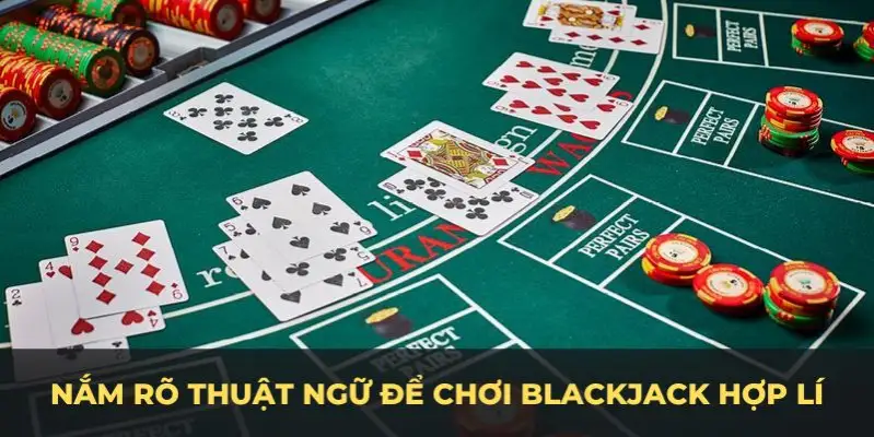 vty05 c1 gà chọi