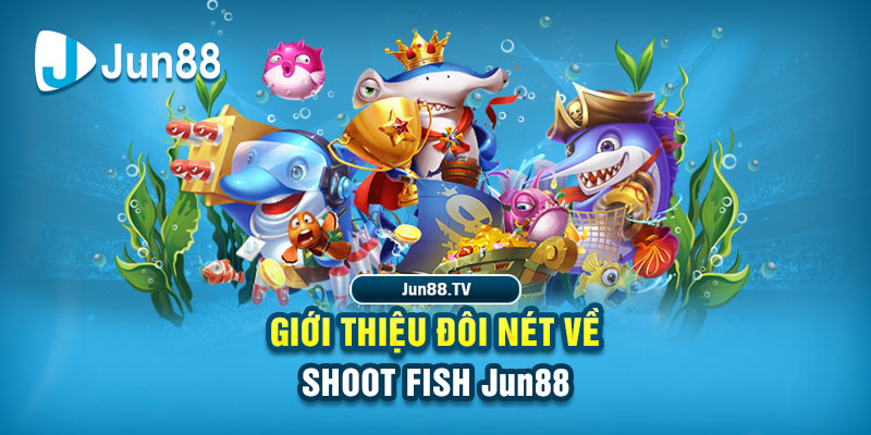vty05 đá gà