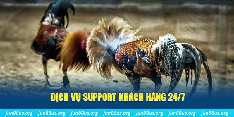 vty05 ÁT CHỦ BÀI GIÀNH LẤY ZHUANG NIUNIU ( XEM 4 LÁ )