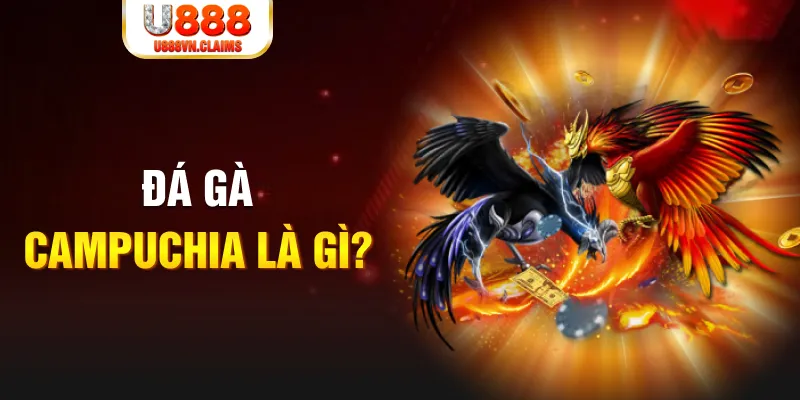 vty05 bắn cá vàng h5