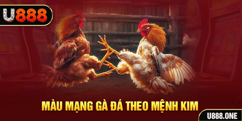 vty05 Cỡ bảy