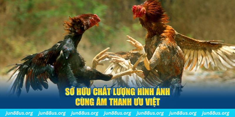 vty05 PP Điện Tử