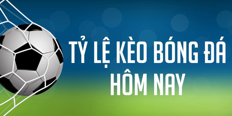 vty05 gà chọi c1 mới nhất