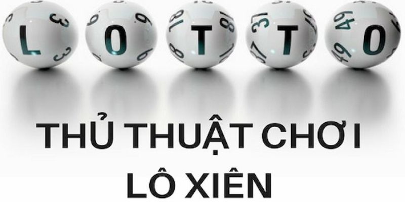 vty05 trực tiếp đá gà thomo