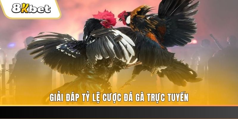 vty05 xổ số đài miền trung