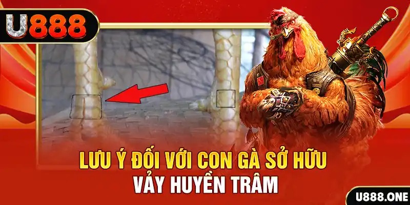 vty05 kết quả xổ số miền nam hôm nay