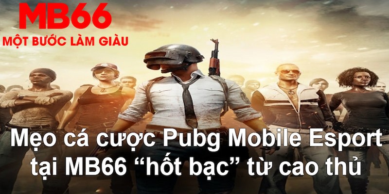 vty05 VA Bắn cá