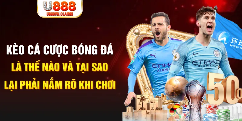 vty05 xổ số kiến thiết