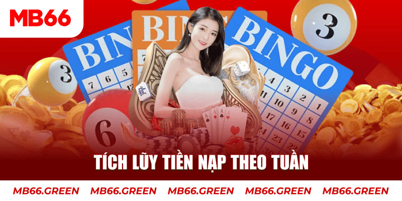 vty05 GW Xổ Số