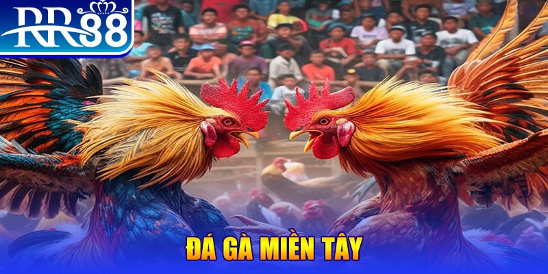 vty05 no hu doi thuong ai