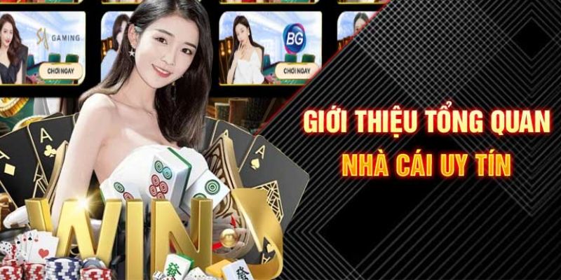 vty05 TP Xổ Số