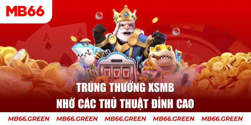 vty05 xổ số chủ nhật