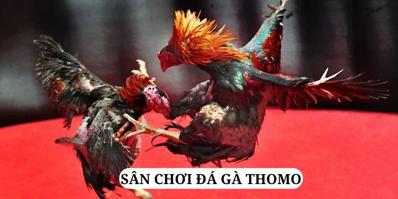 vty05 trực tiếp xổ số miền bắc
